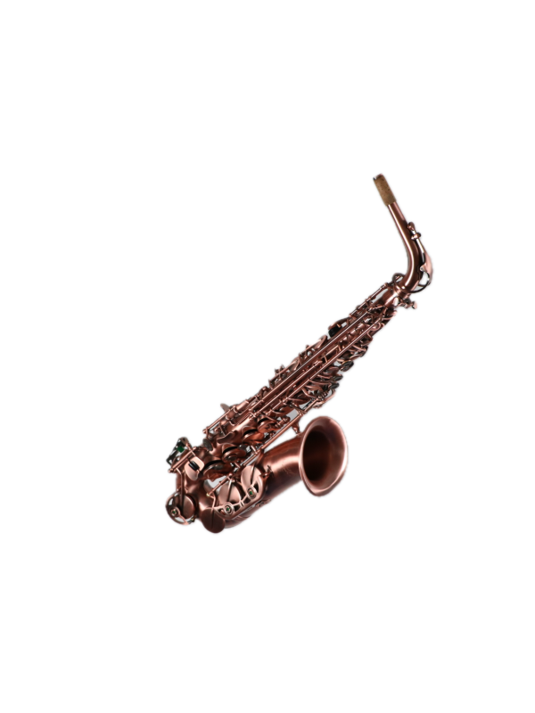 Saxophone Alto Slade