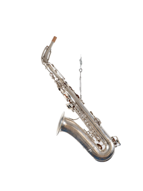 Saxophone Alto DOLNET