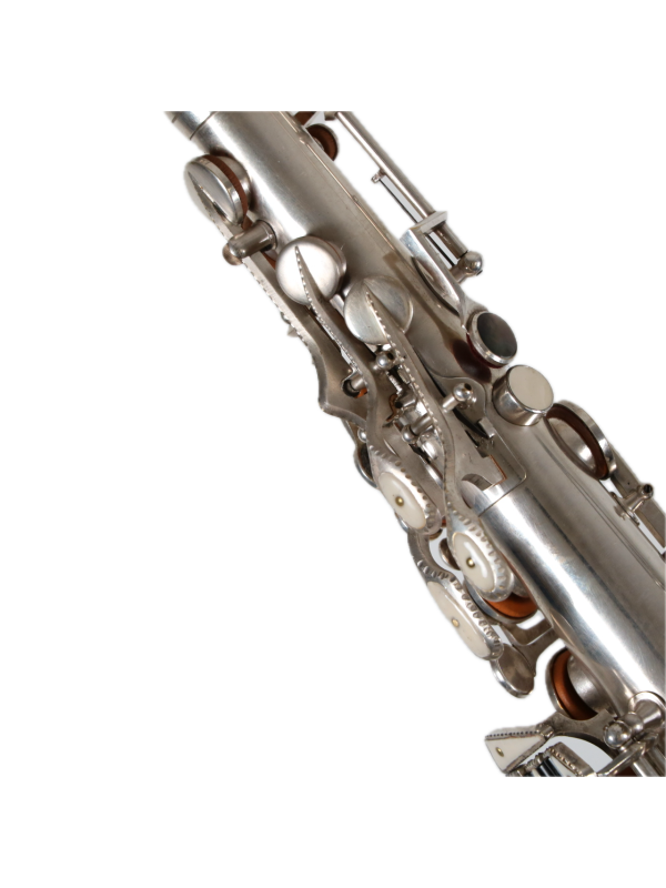 Saxophone Alto DOLNET