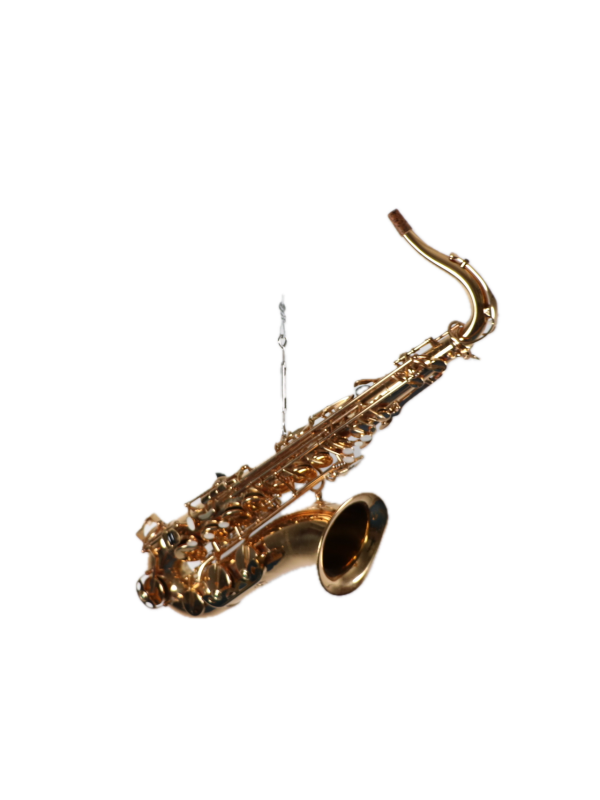 Saxophone Tenor HONER