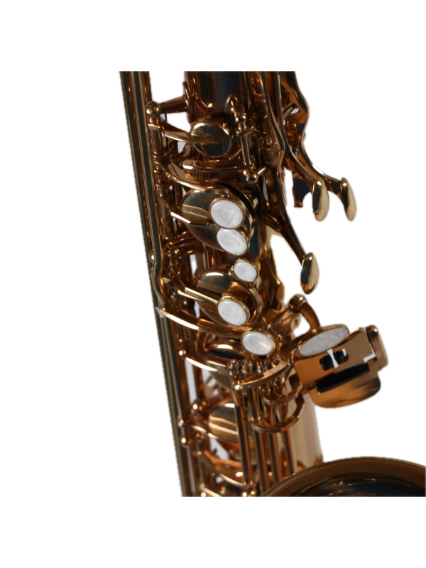 Saxophone Tenor Logo Guitare