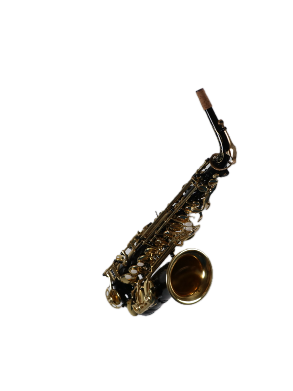 Saxophone Alto Black NONAME