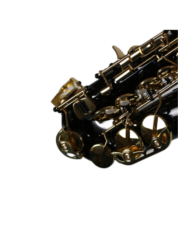 Saxophone Alto Black NONAME