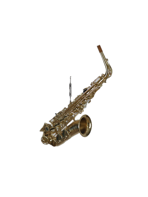 Saxophone  Alto SELMER Axos 2019 +BEC selmer