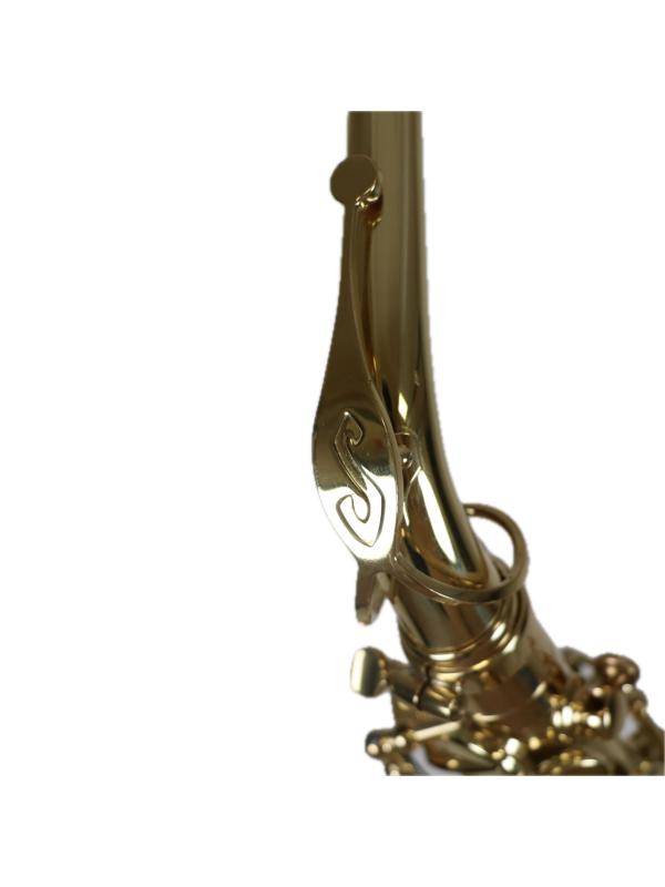 Saxophone  Alto SELMER Axos 2019 +BEC selmer