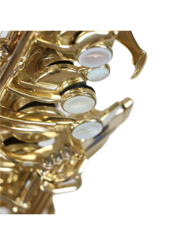 Saxophone  Alto SELMER Axos 2019 +BEC selmer