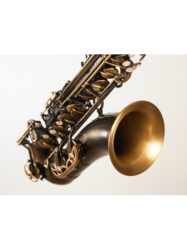 SAXOPHONE TENOR  CUSTOM HORS LA LOI MAISON