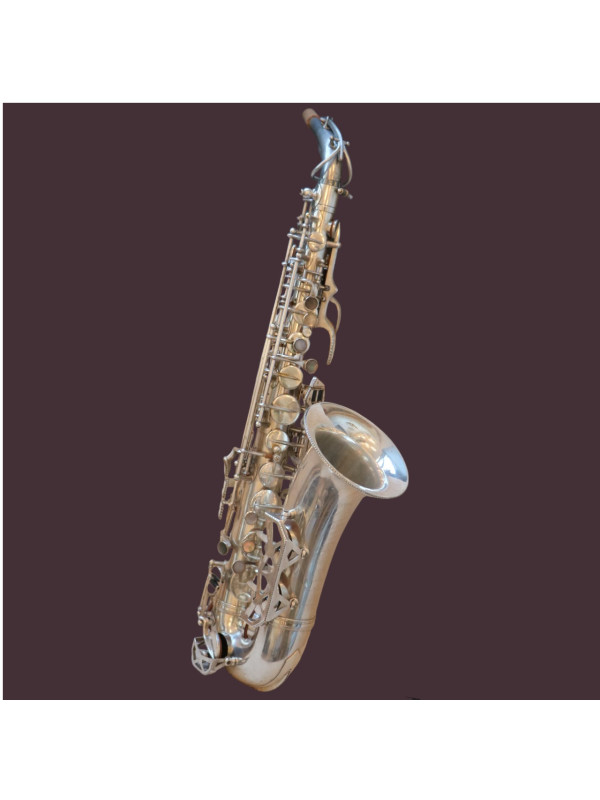 Saxophone Alto DOLNET