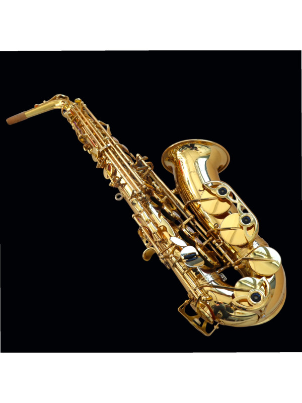 Saxophone ALTO Yanagisawa A901