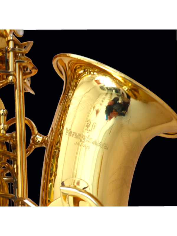 Saxophone ALTO Yanagisawa A901