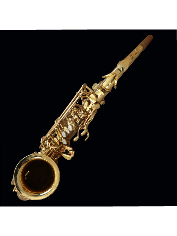Saxophone ALTO Yanagisawa A901