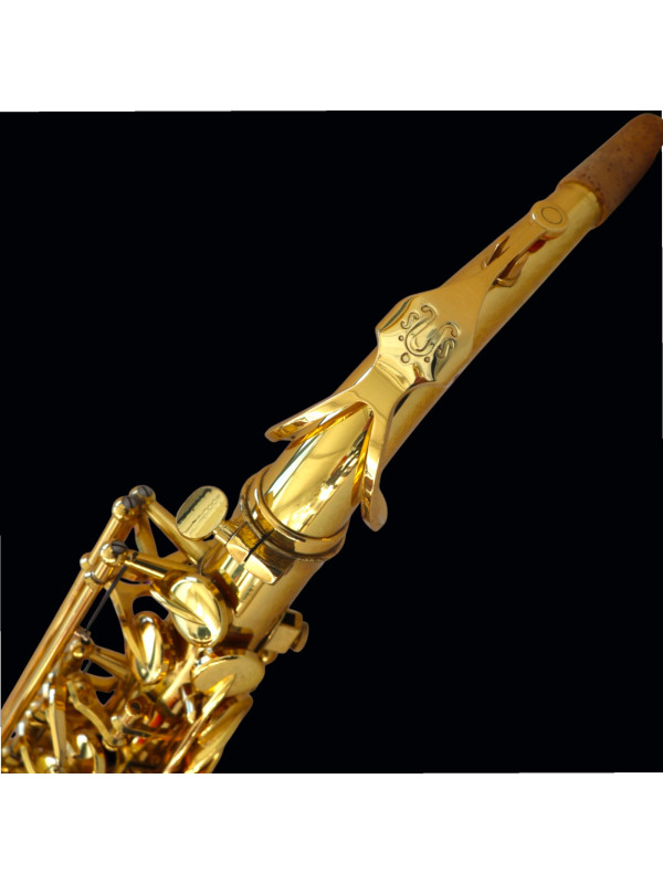 Saxophone ALTO Yanagisawa A901