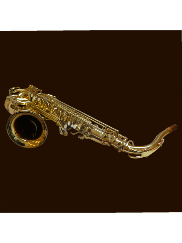 Saxophone Tenor ALIZEE