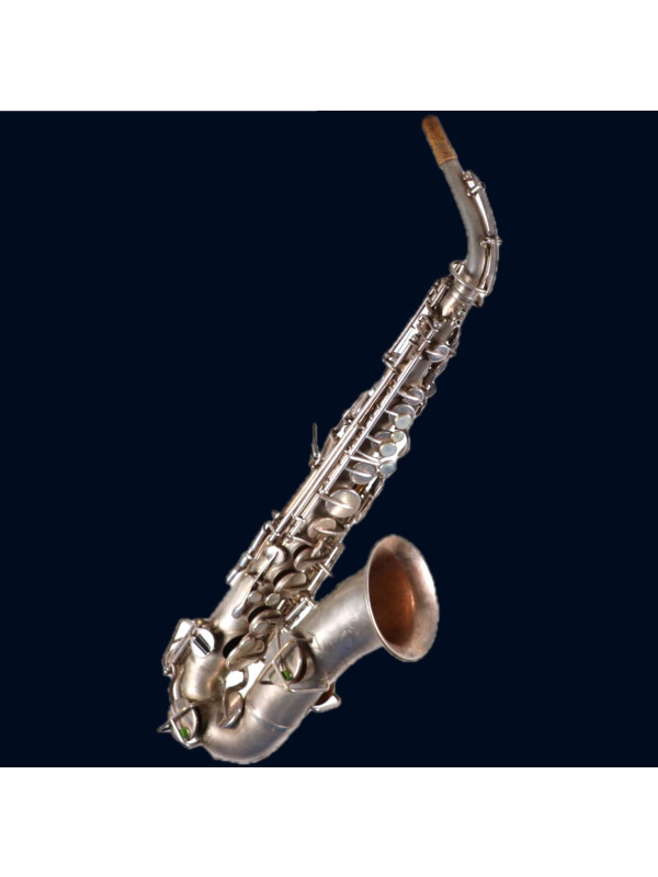 Saxophone Alto BUESCHER TRUE TONE LOW PITCH