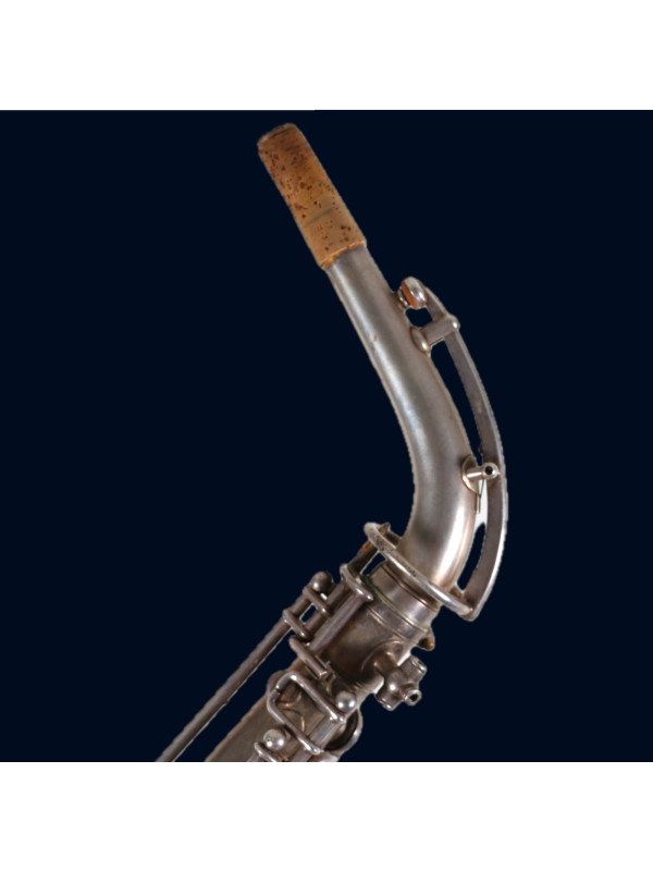 Saxophone Alto BUESCHER TRUE TONE LOW PITCH