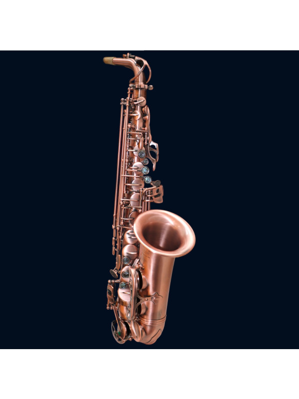 Saxophone Alto Slade
