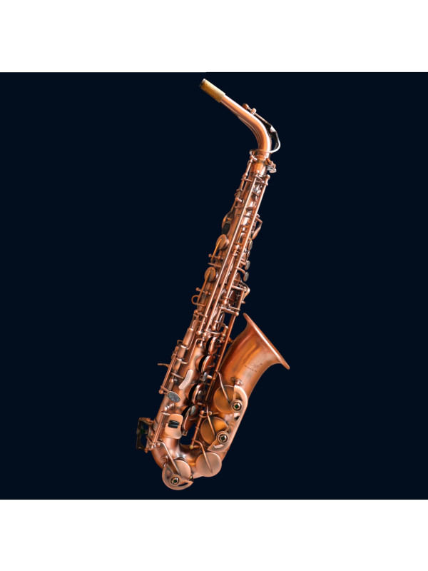 Saxophone Alto Slade