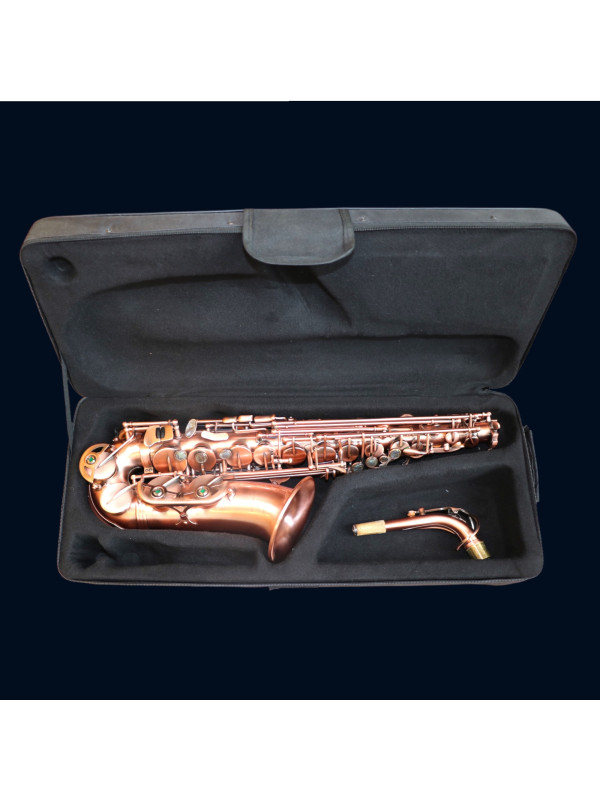 Saxophone Alto Slade
