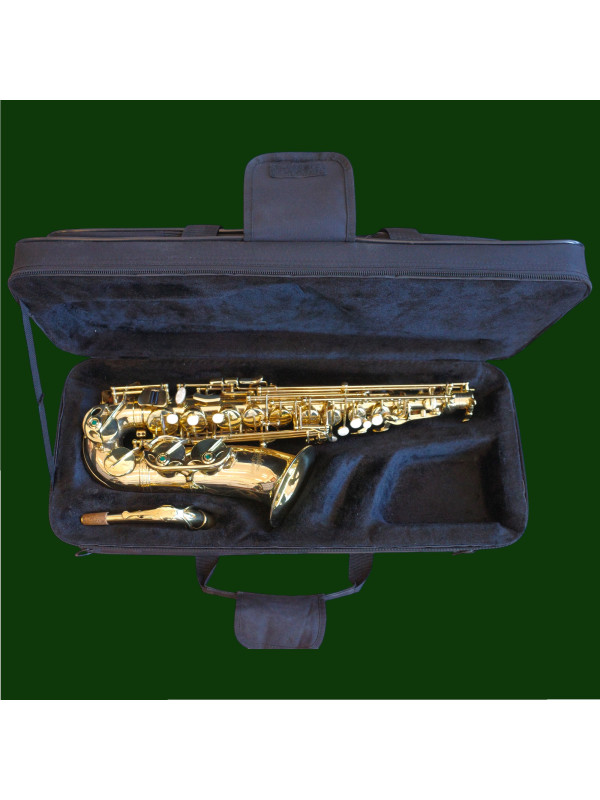 Saxophone Alto Eagletone  Highway