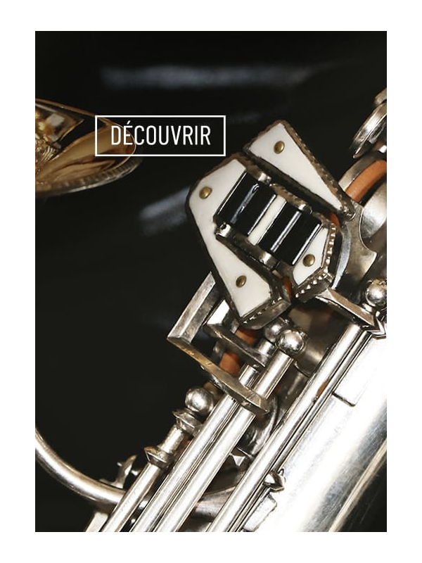 Saxophone Alto DOLNET FULL PEARL