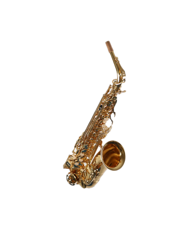 Saxophone Alto BUFFET CRAMPON 100