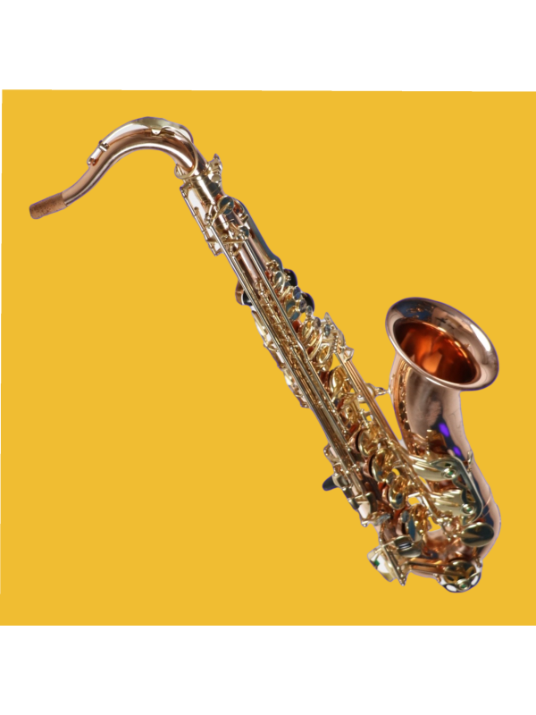 Saxophone Tenor SLADE