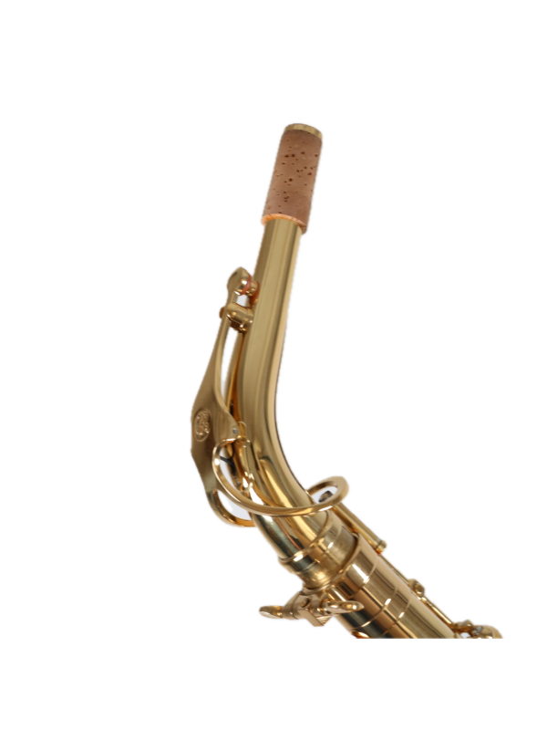 Saxophone Alto BUFFET CRAMPON 100