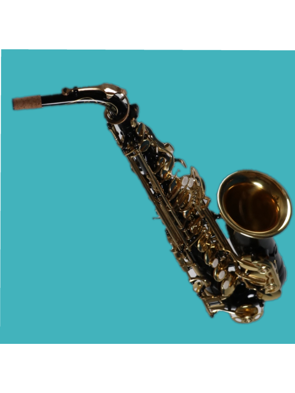 Saxophone Alto Black NONAME