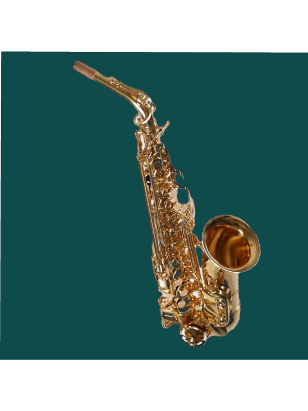 Saxophone Alto BUFFET CRAMPON 100