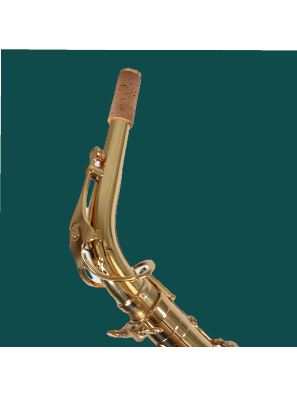 Saxophone Alto BUFFET CRAMPON 100