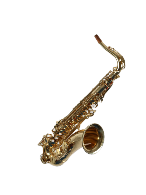 Saxophone Tenor Startone
