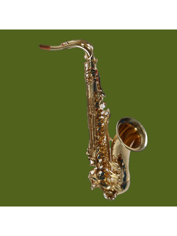 Saxophone Tenor Startone