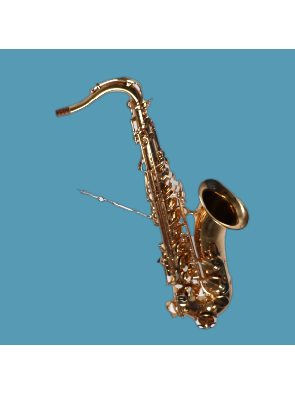 Saxophone Tenor HONER