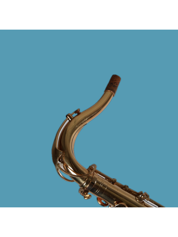 Saxophone Tenor HONER