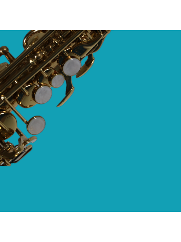 Saxophone Soprano Courbé ROY BENSON SS-115