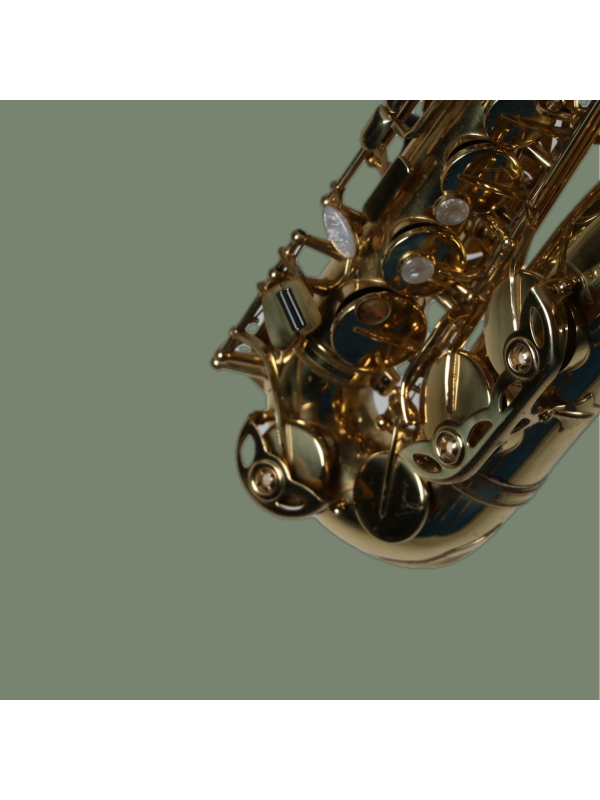 Saxophone Alto DIXON DELUXE Made in Taiwan