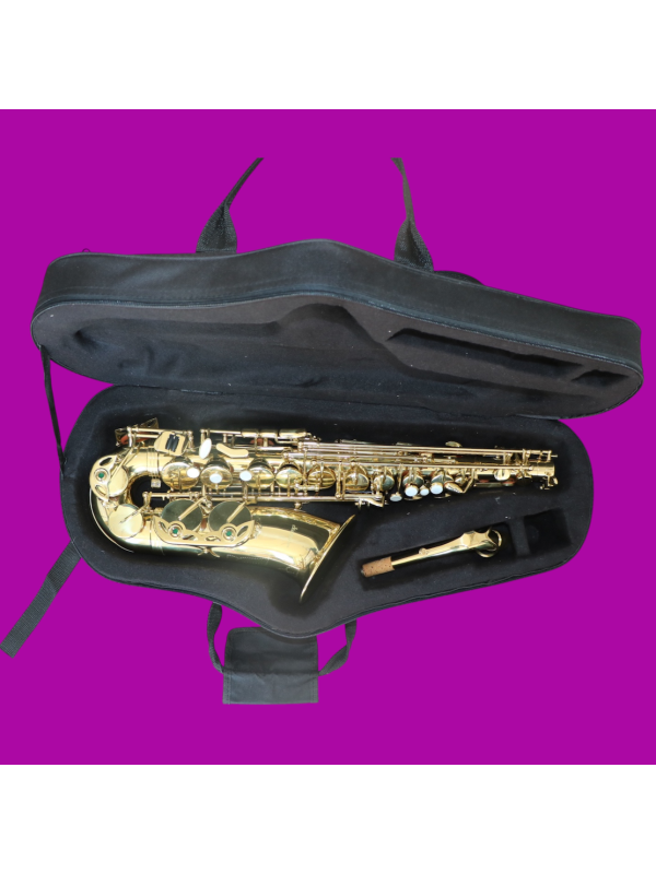 Saxophone Alto STARTONE rutilant comme neuf