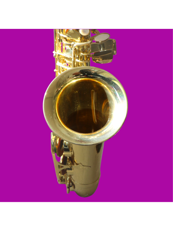 Saxophone Alto STARTONE rutilant comme neuf