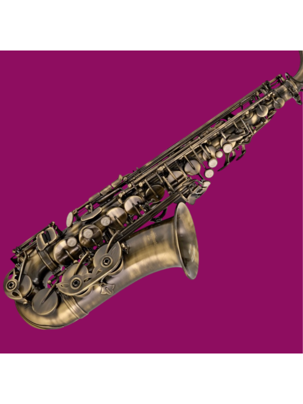 Saxophone Alto ANTIQUE G4M comme neuf