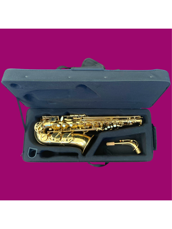 Saxophone alto SML A300 COMME NEUF.