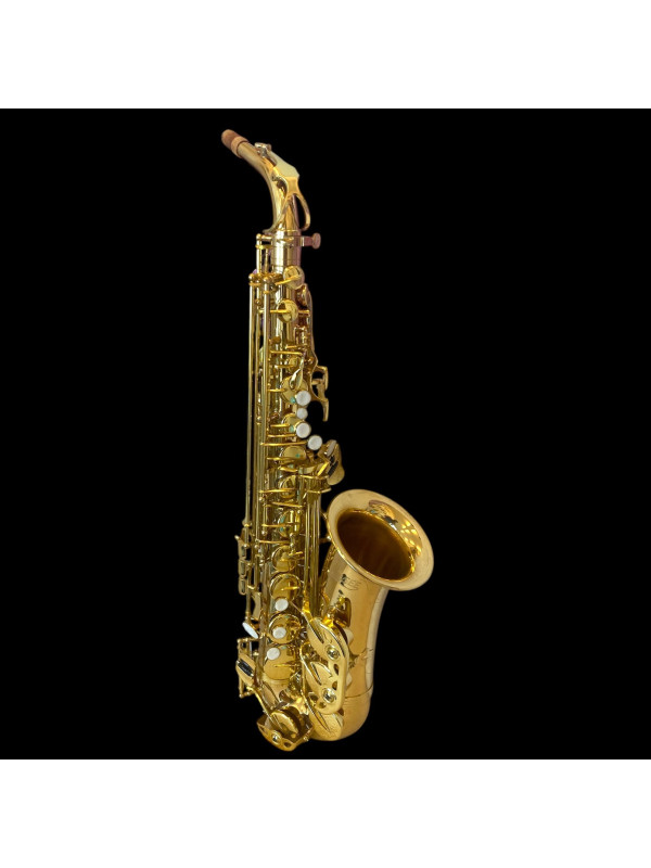 Saxophone Alto Alizée en super état