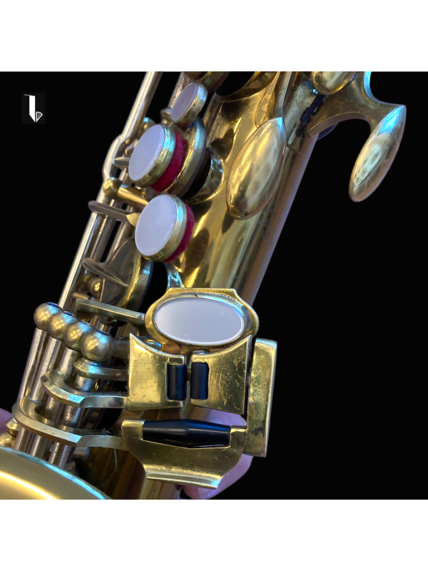 Saxophone Alto -LARK- M4019