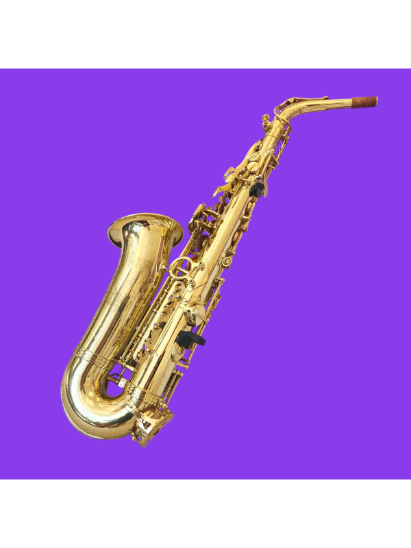 Alto Startone