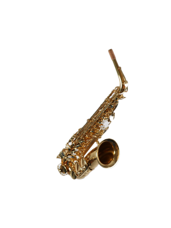 Saxophone Alto STARTONE