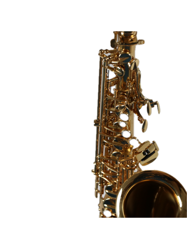 Saxophone Alto STARTONE